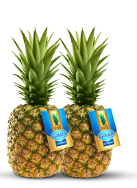 1-pina